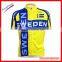 Professional wholesalers of cycling clothing, fluorescent yellow team cycling shirts