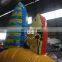 Dolphin Theme Inflatable Bungee Jumping Inflatable Game