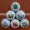 SLJET golf ball pen litho flatbed inkjet printer printing machine for sale