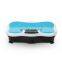 2020 popular design whole body vibration machine