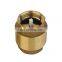 Brass Vertical Check Valve with SS spring