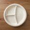 Disposable corn starch 3 compartment food tray