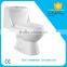 Economical Sanitaryware one piece toilet, toilet WC with heavy production capacity