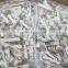 Good Quality IQF Illex Squid Ring With Skin