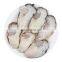 IQF frozen oyster meat frozen china oyster meat