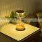 Indoor Reading Lamp For Living Room Rechargeable Night Light Crystal Mushroom Table Light