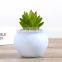 Cute Round Flowerpot With Artificial Flowers,Green Plants,Home Decoration Pottery Flower Pots Planters Potting Pots