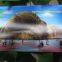 Wholesale New Design 2024 High Quality Custom Eco-friendly 3d Lenticular Picture