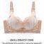 Factory Sale Womens Lace Underwire Padded Plus Size Bra Sexy Lace 3/4 Cup Bra