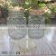 New desige 480ml Glass Storage Jar/glass Mason Jar With Pineapple Pattern