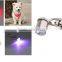 PET ACCESSORIES New dog tag pet charm dog light stick