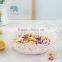 decorative christmas dry fruit plate
