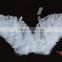 wholesale feather angel wings with gold iridescent