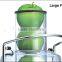 grapefruit centrifuge high quality power juicer with 850W 2L pulp container