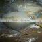 frozen golden pompano fish