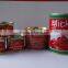 Factory Custom Canned Tomato Paste with Client's Private Label