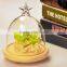 decorative glass dome for wedding