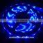 30leds/m 5050 SMD Single Color LED Flexible Strip, DC12V/24V input, 5m/roll, waterproof IP20/IP65/IP67