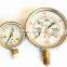 Liquid Filled Pressure Gauge