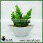 Mini Artificial White Pottery Potted Succulent for Office Table Decor