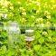 Beautiful design different sizes clear borosilicate glass coupling glass bottle