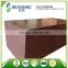 2016 hot selling popular finger joint film faced plywood