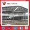 steel chicken shed have egg laying chicken poultry cage