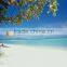 Digital Background Scenery Photograph Studio Backdrop