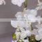 factory wholesale artificial plant weeding decoration artificial potted orchid flower