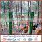 European Style Beautiful High Quality powder Coated Euro Fence