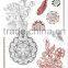 2015 New Design Gold Metallic Tattoo Sticker
