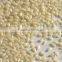 Natural Sesame Seed