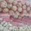 mesh bags of egyptian onions with affordable price