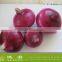 Fresh Yellow/Red Onion Supplier/Producer/Farmer