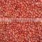 BEST QUALITY RED BOLD PEANUT