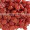 dried strawberry