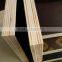 10mm film faced plywood for construstion and building
