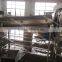 frozen chicken feet peeling machinery