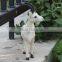 small size plush plastic goat toy