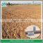 PE Agricultural Drip Irrigation Hose For Farming Irrigation System