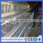 A type poultry cages for hens with egg collection machine steel layer cages(Guangzhou Factory)