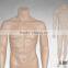 2015 stand headless mannequin human body model