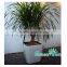 Large outdoor flowerpot classic square plastic flower pot