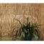 Bamboo Style Rolled Woven Reed Fence for garden decoration