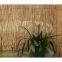 high quality reed fence ,natural bamboo reed fence,various size reed fence