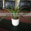 Factory Price Desk Set Decoration Mini Artificial Bonsai