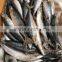 Pacific Mackerel 250-300g Seafrozen 2015