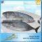 2015 Newly Fresh Seafood Lower Price Frozen Sarda Sea Fish