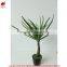 Foliage Ornamental Decorcative outdoor Bonsai Plants Wholesale Artificial Plant Manufacturing Plant