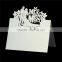 Paper Wedding Party Name Place Card Bride & Bridegroom Message "Mr & MRS" Light Gold Glitter